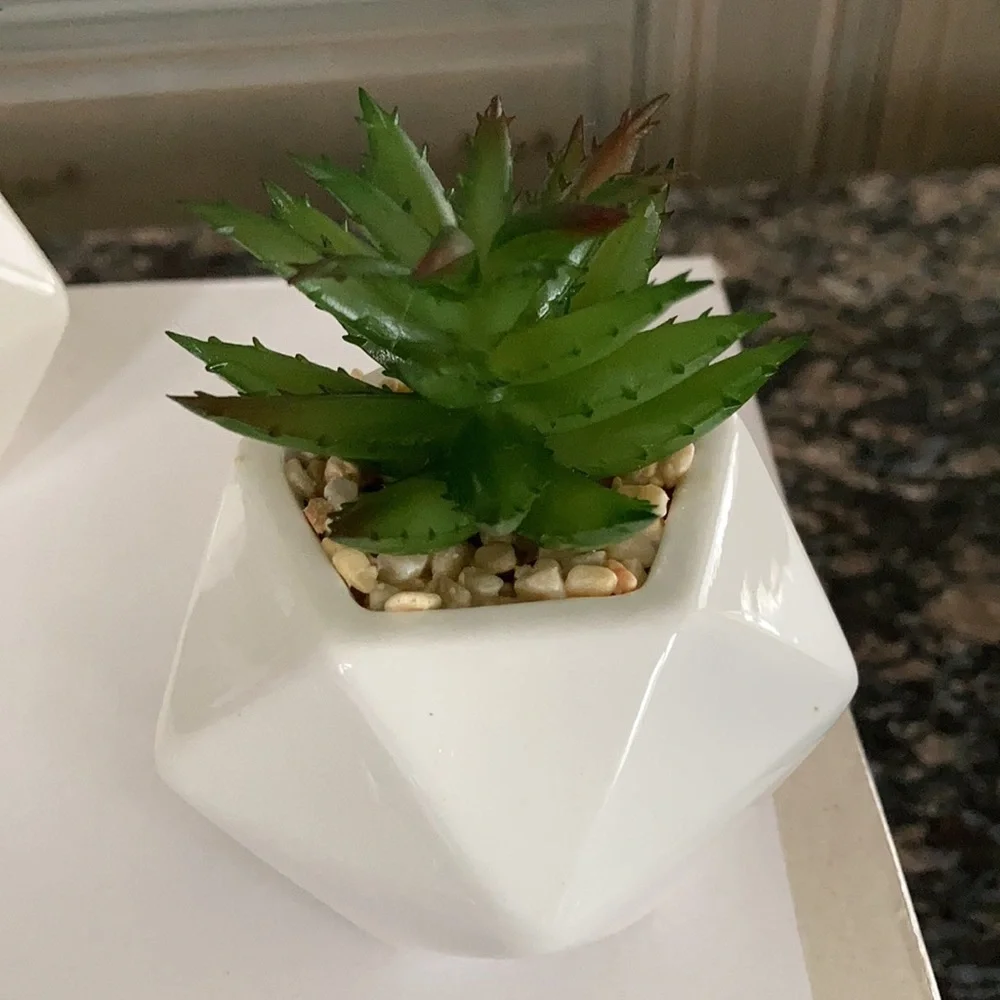 LEAFY CORNER ARTIFICIAL FAKE SUCCULENT PLANTS POTS NWT